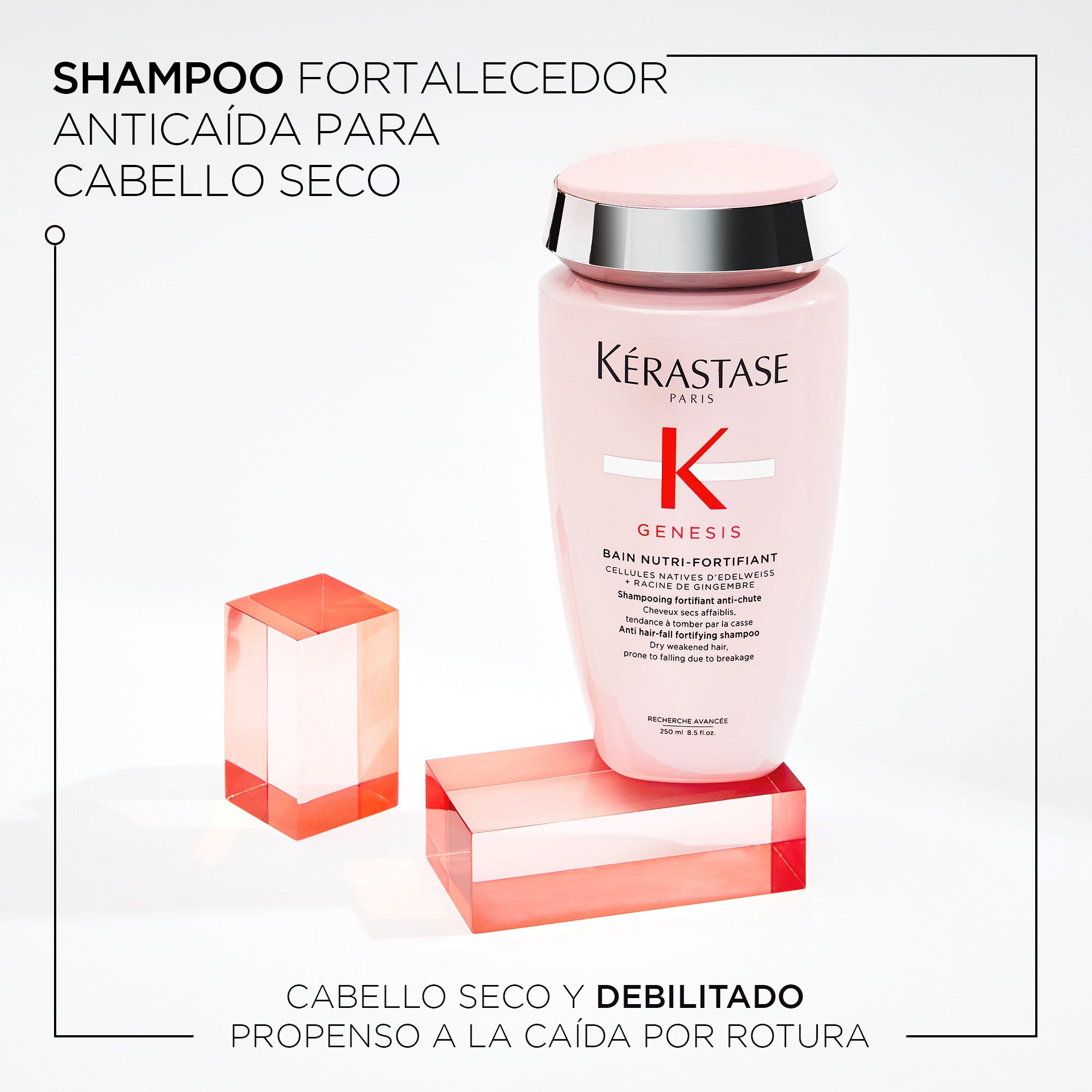 Shampoo Kérastase Genesis NutriFortifiant anticaída cabello seco 250ml