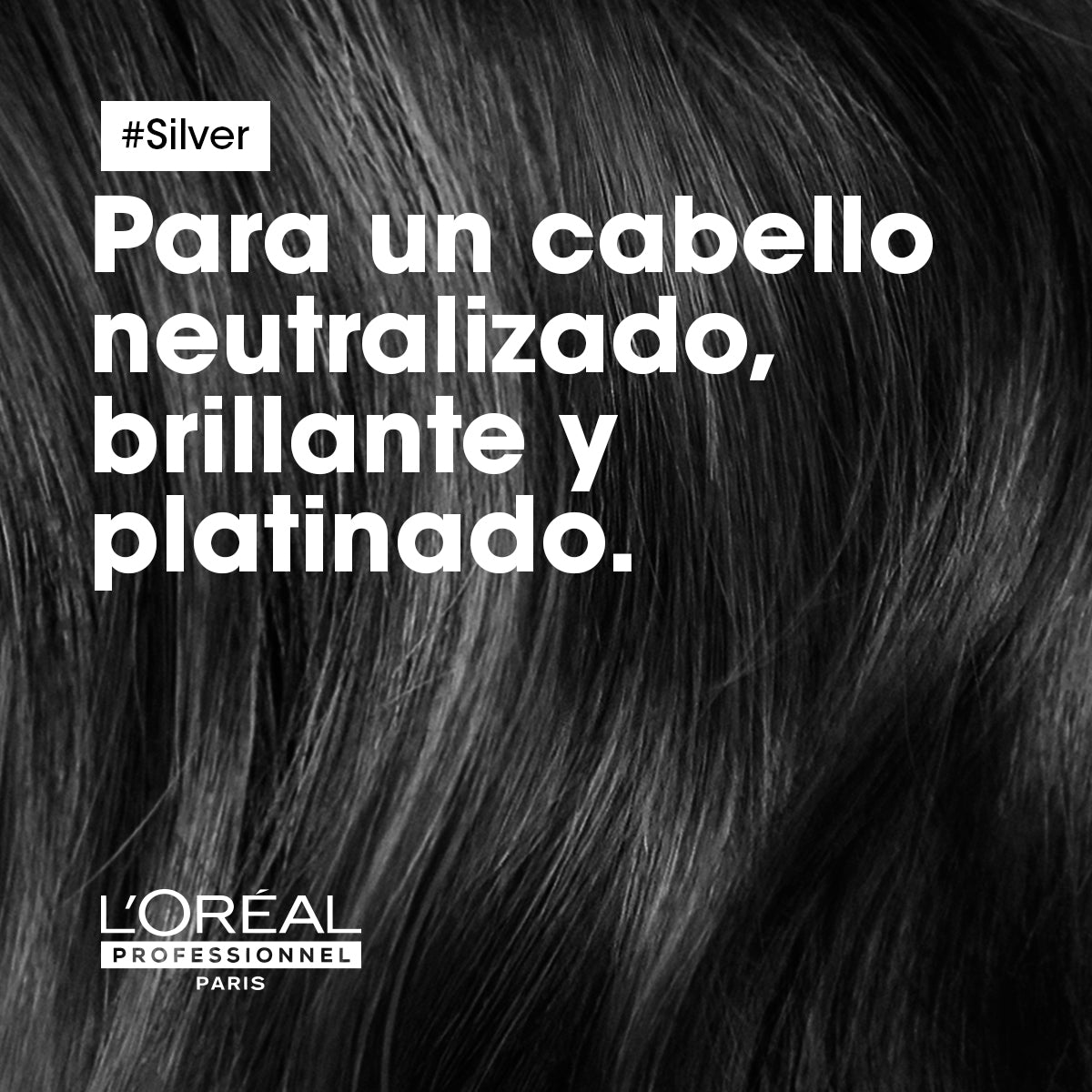 Shampoo Silver cuidado del cabello blanco Loreal professionnel 300ml